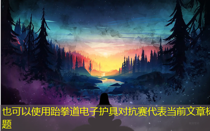 跆拳道电子护具对抗赛