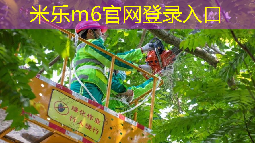 mile米乐m6官网：网球拍线断了要剪掉吗_