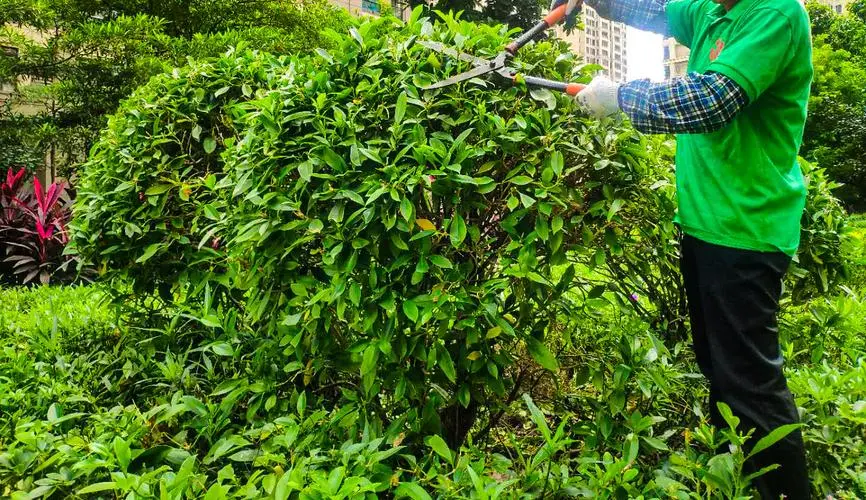 米乐m6官网：经典网球拍有没有收藏价值