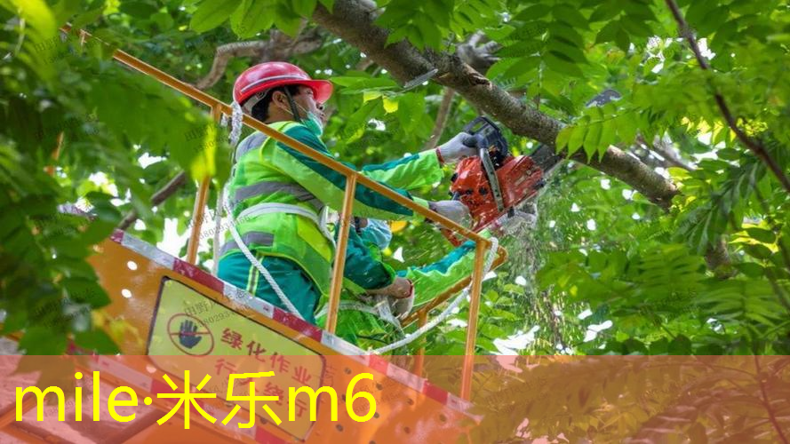 mile·米乐m6：篮球架移动和固定式安装的区别与选择