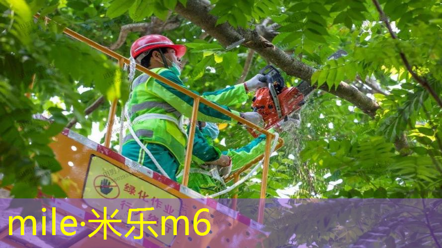 mile米乐m6官网：减肥健身操室内减肥运动