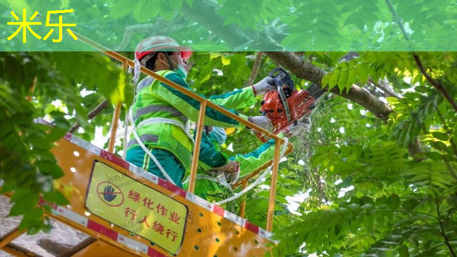 网球拍线断了要剪掉吗_